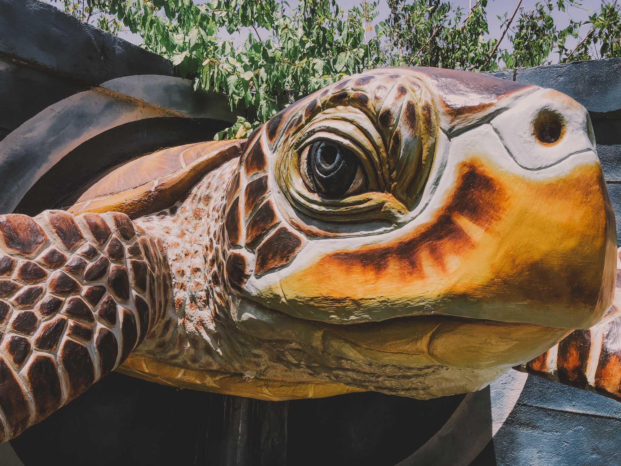 Exploring the Unique Charm of Bato de Luna Art Gallery in La Union